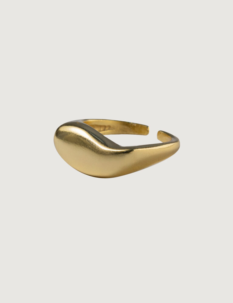 CHARM Nº49