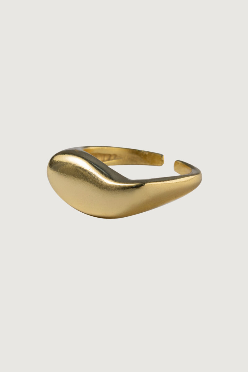 CHARM Nº49