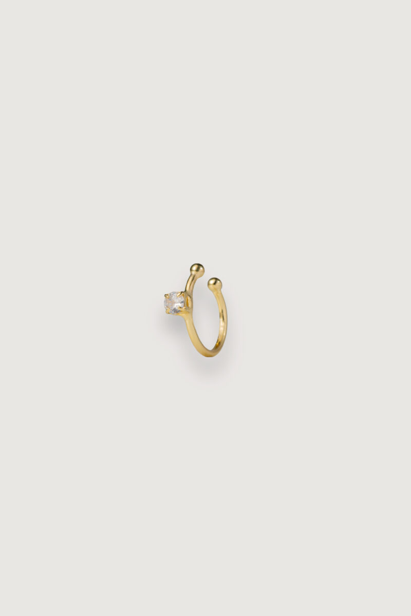 CHARM Nº11