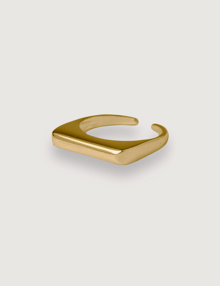 CHARM N°48