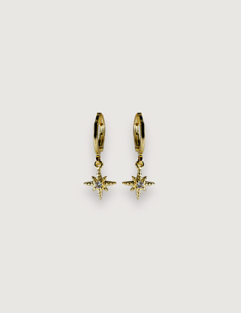 CHARM Nº14